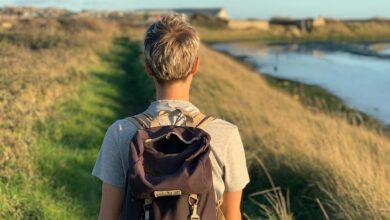 What went right this week: the sceptic-defying green economy, plus more