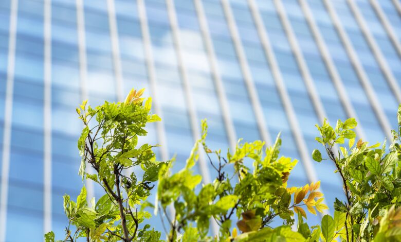 Building a more sustainable world Building a more sustainable world