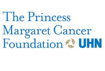 princess-aspect-ratio-310-210