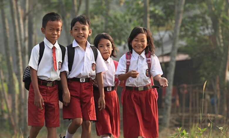 What you need to know