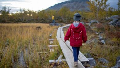 The five countries emigrating families love