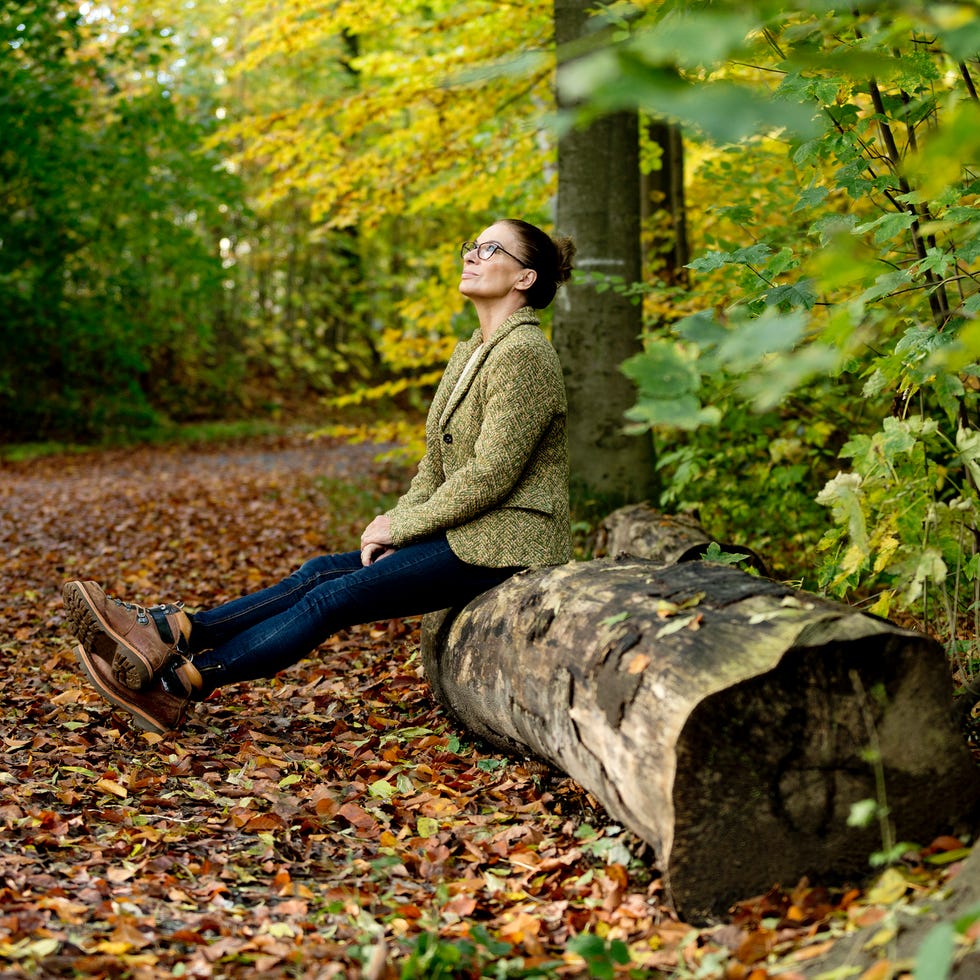 woman sitting on a tree trunk in a autumn forest woman sitting on a log in a wooded area with autumn foliage
