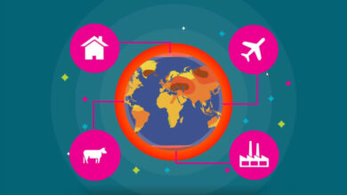 9 things you can do about climate change