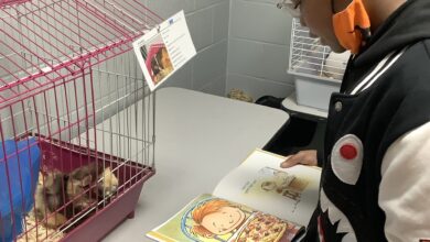 Michigan City Area Schools students make positive impact on “Better World Day”