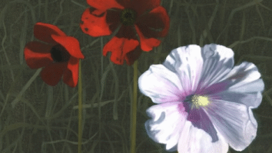 Holy Land: Israeli forces destroy Palestinian Seed Bank