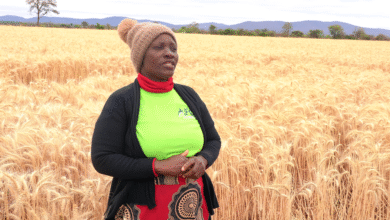 Widow’s inspiring story of overcoming poverty through FAO-AfDB loan facility support program