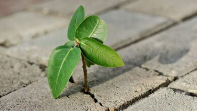 10 Unbelievable Stories of Survival Against All Odds 10 Unbelievable Stories of Survival Against All Odds