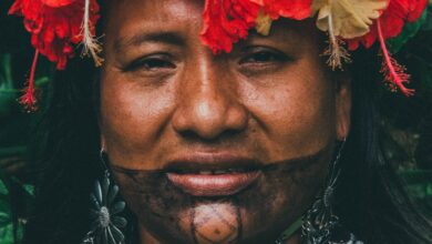 The Resilience and Richness of Australian Aboriginal Culture The Resilience and Richness of Australian Aboriginal Culture