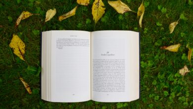 10 Books That Quietly Saved My Life 10 Books That Quietly Saved My Life